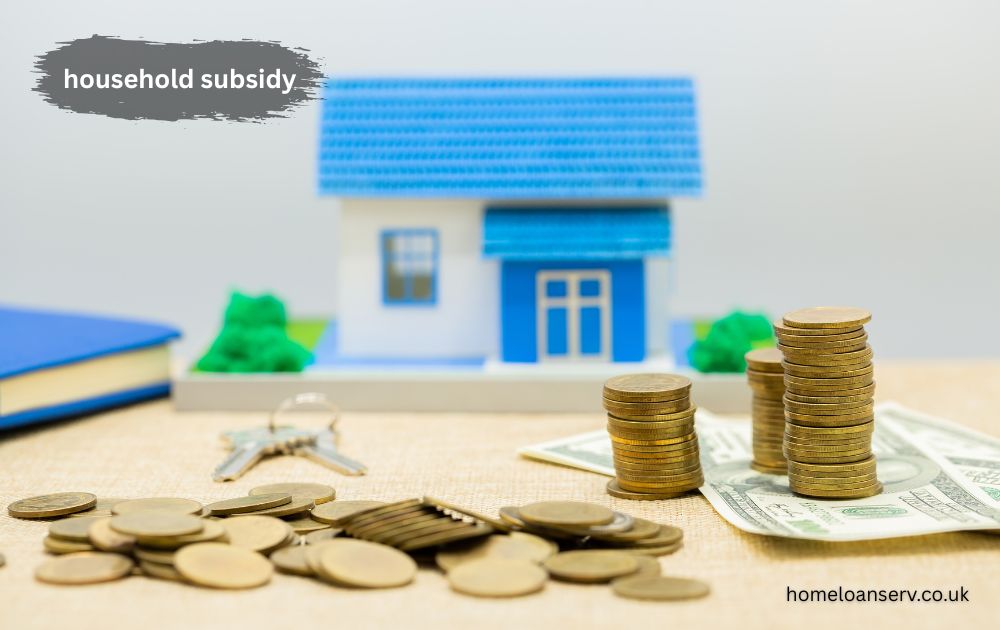 household subsidy